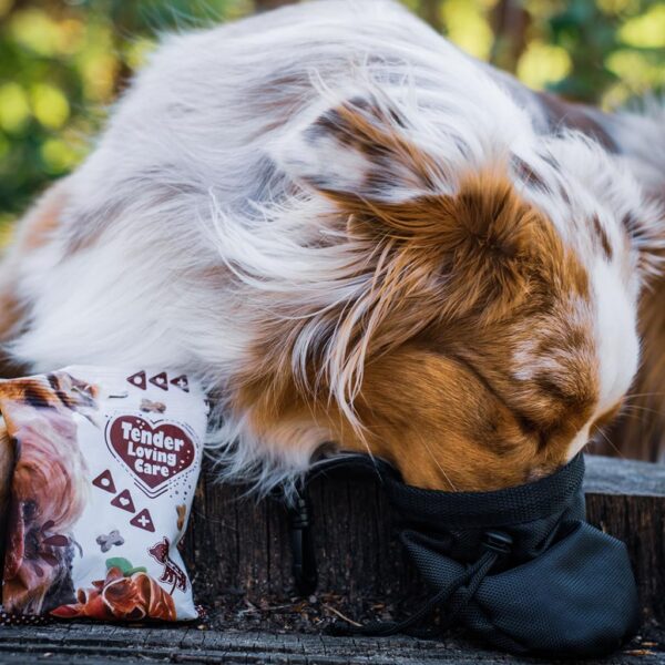 TLC Soft Snack - Image 2