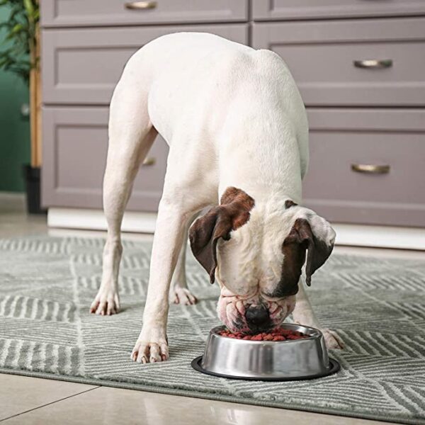 Stainless Steel Pet Bowl - Image 5