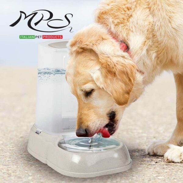 Maya Water Dispenser - Image 4