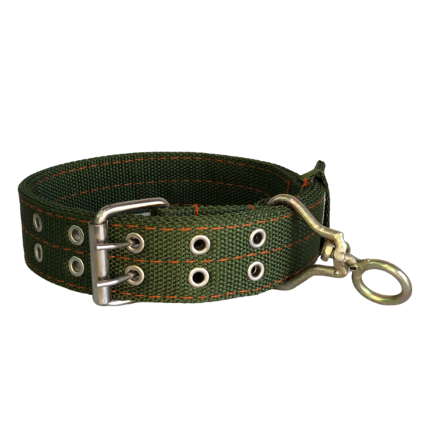Double Row Adjustable Dog Collar - Image 4
