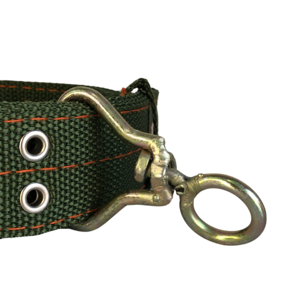 Double Row Adjustable Dog Collar - Image 3