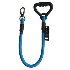 Bold Leash