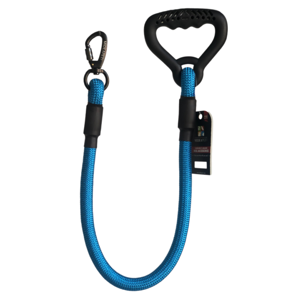 Bold Leash
