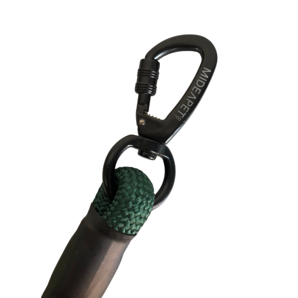 Bold Leash - Image 3