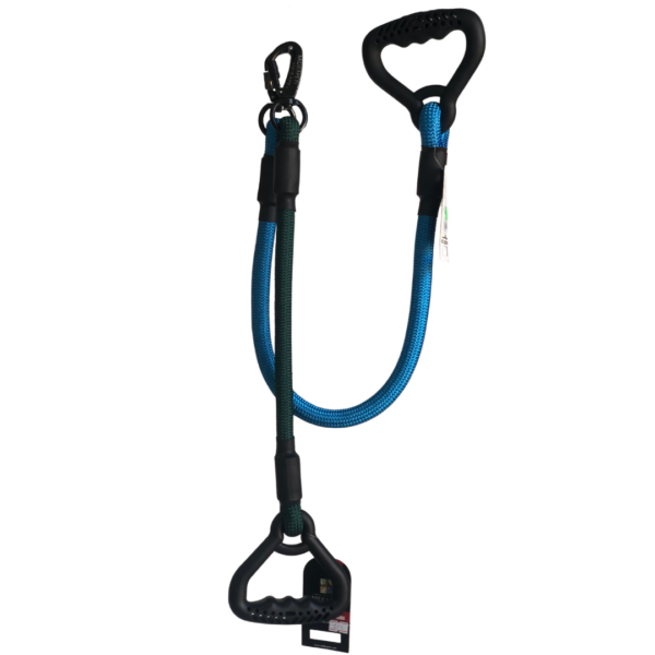 Bold Leash - Image 5