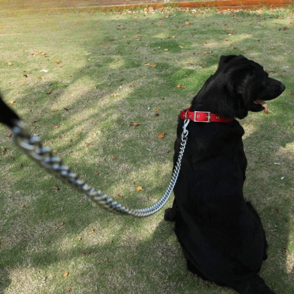 Metal Leash - Image 5