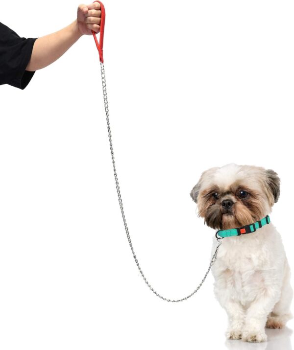 Metal Leash - Image 6