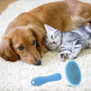 Pet Clean Brush