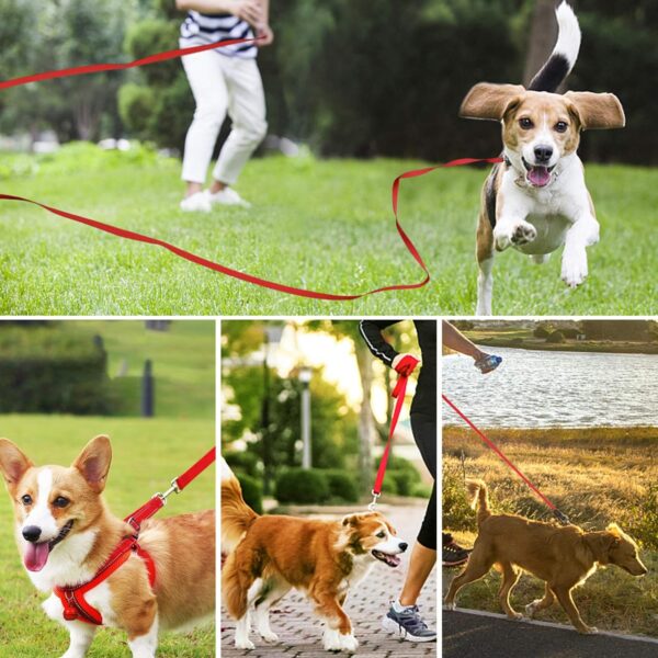 10m - 15m Leash - Image 3
