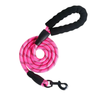 Nylon Rope Leash