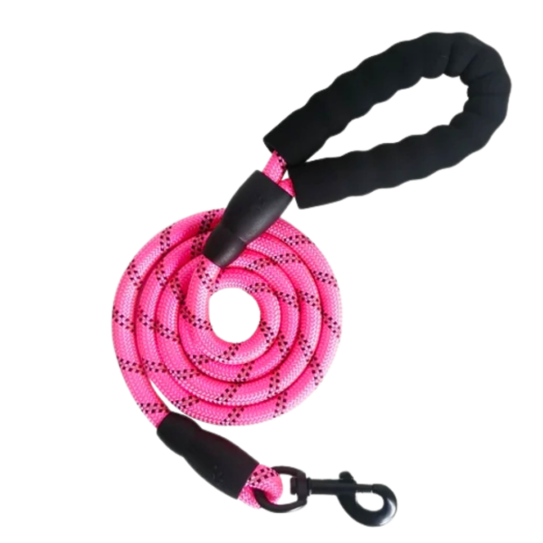 Nylon Rope Leash