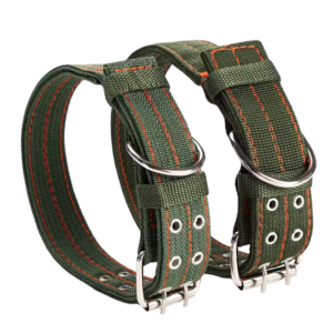 Double Row Adjustable Dog Collar
