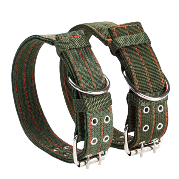 Double Row Adjustable Dog Collar