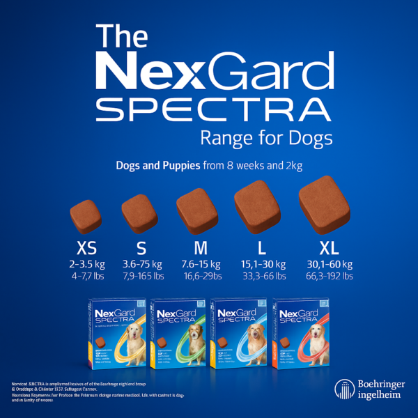 NexGard SPECTRA® - 15.1-30kg - Image 3